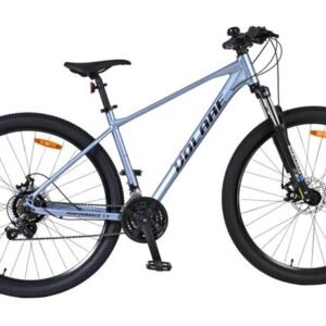 Volare MTB X-Trail 29'' Large Grá Mat 21 gear